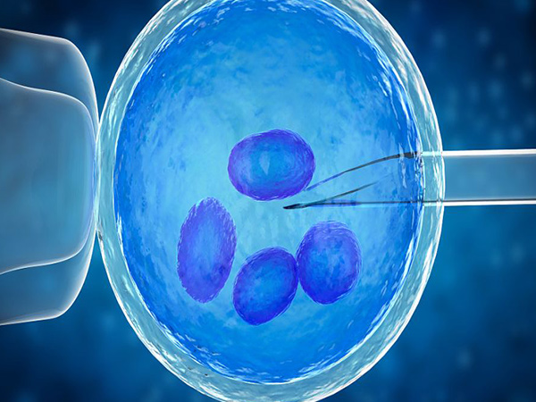 供卵试管在国内是合法的