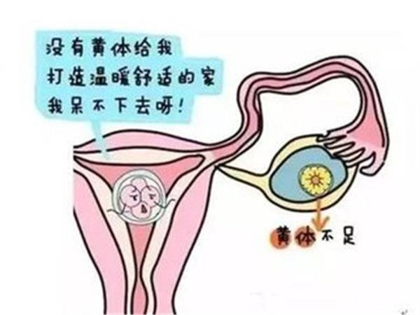 因黄体功能不足试管怀孕后需要保胎三个月