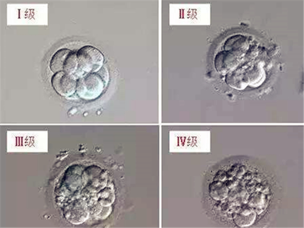 优质胚胎着床率在60%